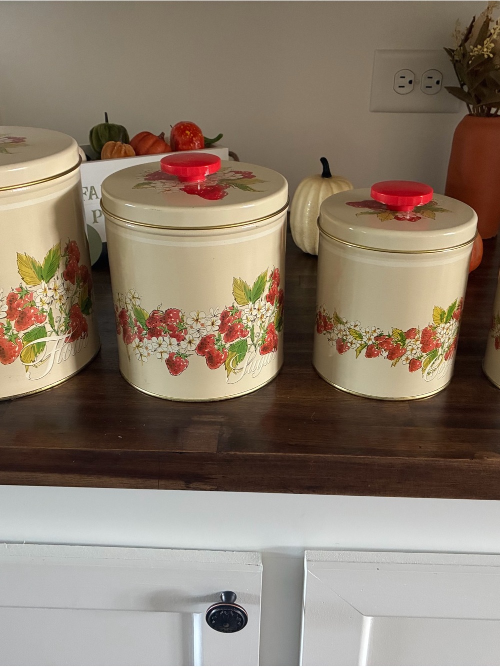 Cream Strawberry Floral Canister Set of 4 with Lids